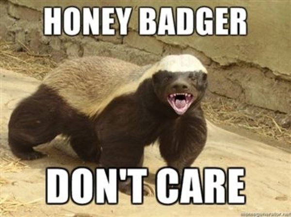 honey-badger-dont-care